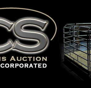 MCS Auction Inc.